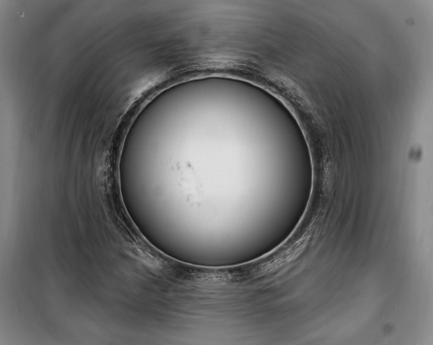 X0000100321210200806121056