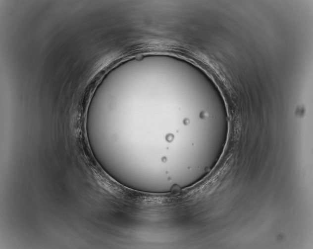 X0000100321211200806121056