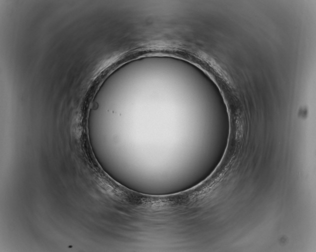 X0000100321213200806121056