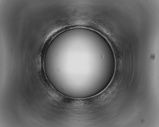 X0000100321214200806121056