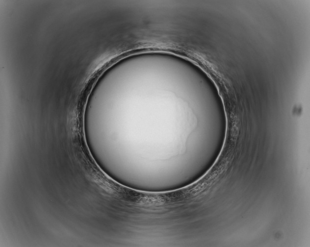 X0000100321215200806121056