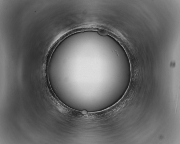 X0000100321216200806121056