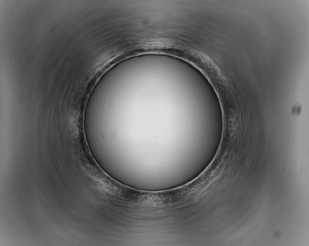 X0000100321217200806121056