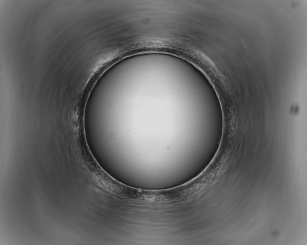 X0000100321218200806121056