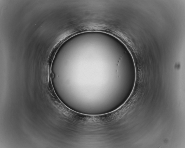 X0000100321219200806121056