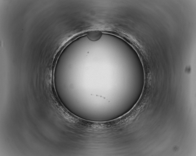 X0000100321220200806121056