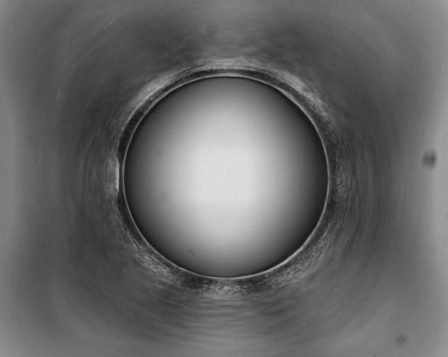 X0000100321221200806121056