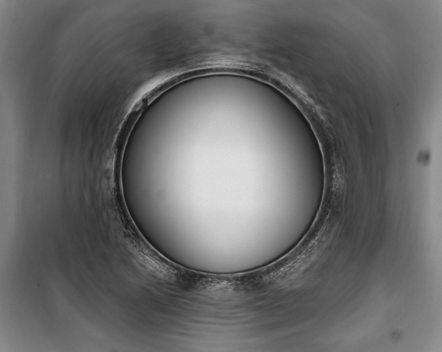 X0000100321222200806121056