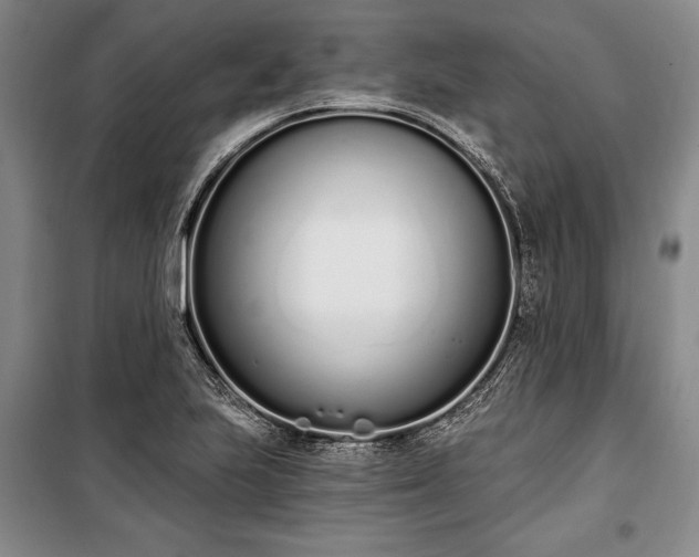 X0000100321223200806121056