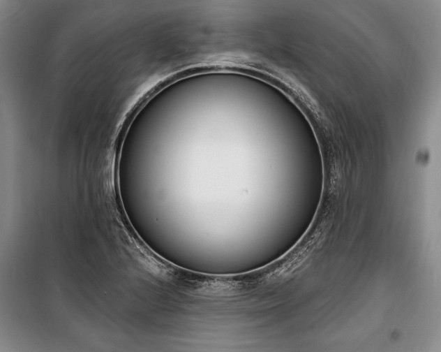 X0000100321224200806121056