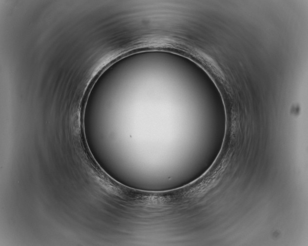 X0000100321226200806121056