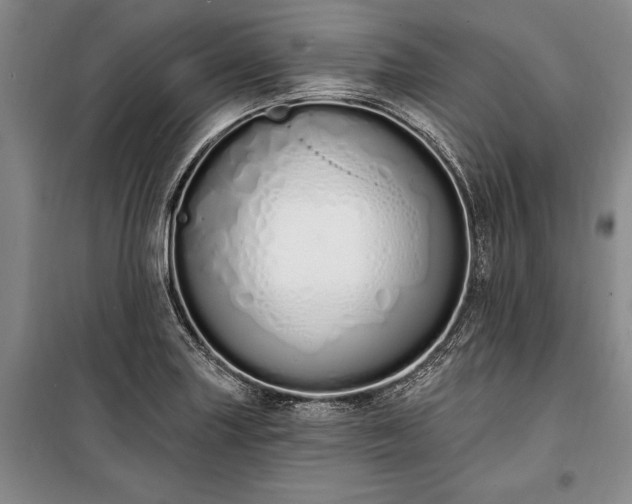 X0000100321227200806121056