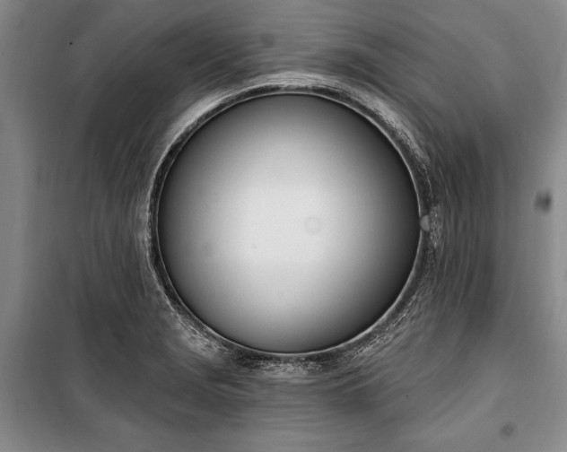 X0000100321229200806121056