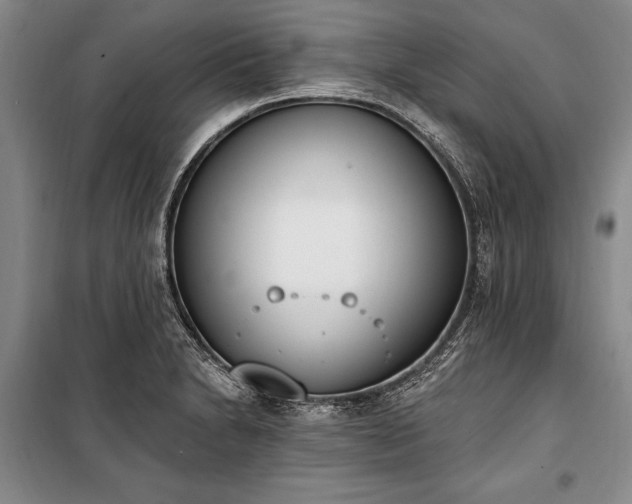 X0000100321230200806121056