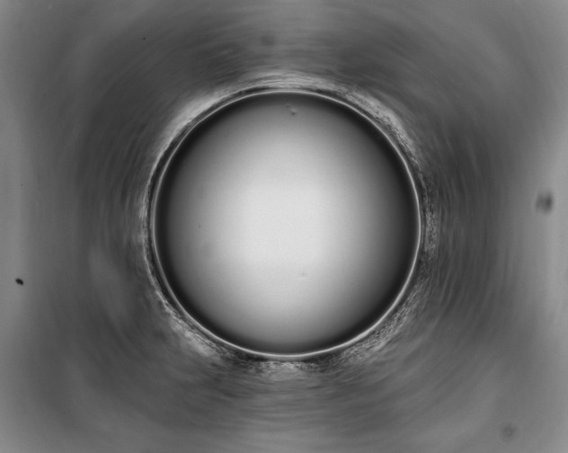 X0000100321231200806121056