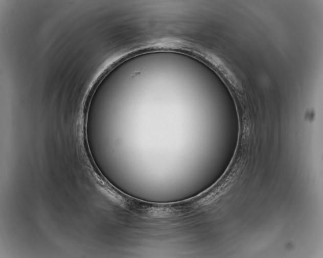 X0000100321232200806121056