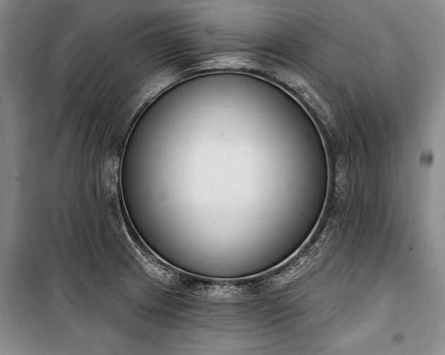 X0000100321233200806121056