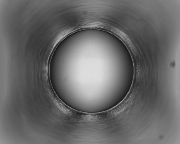 X0000100321234200806121056