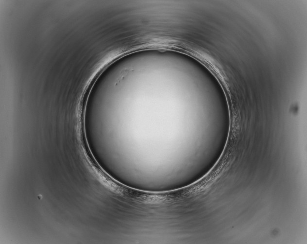 X0000100321235200806121056