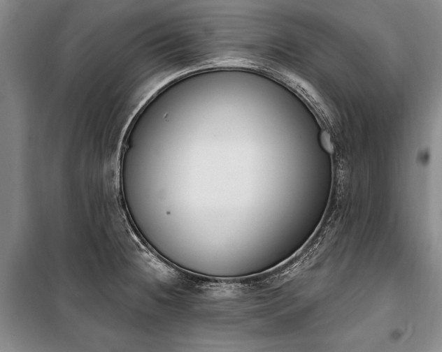 X0000100321236200806121056