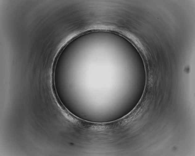 X0000100321237200806121056