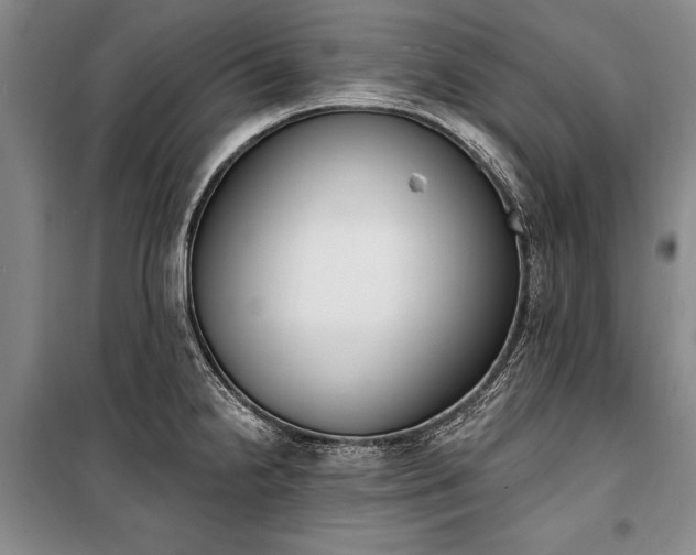 X0000100321238200806121056