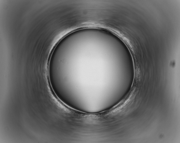 X0000100321239200806121056