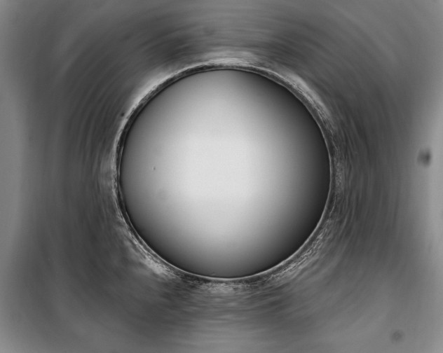 X0000100321240200806121056