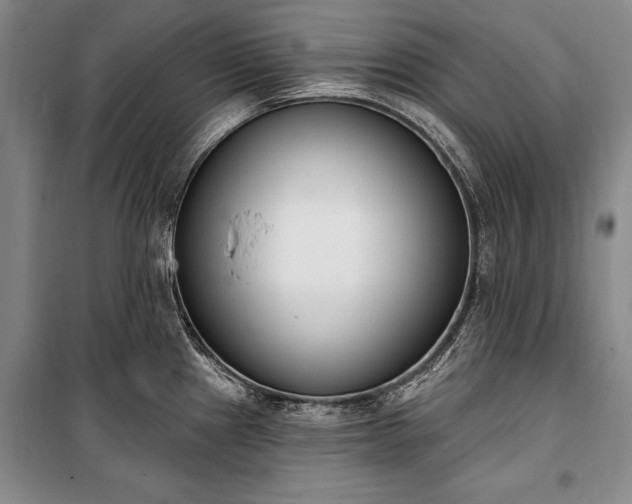 X0000100321241200806121056