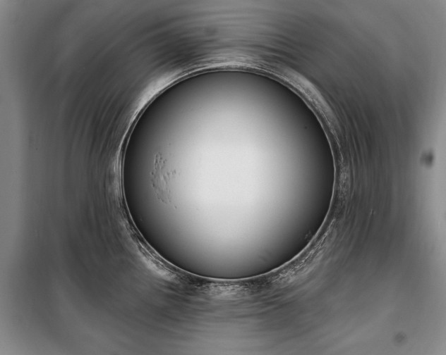 X0000100321242200806121056