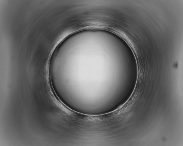 X0000100321243200806121056