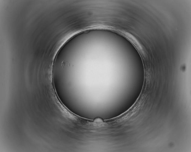 X0000100321244200806121056