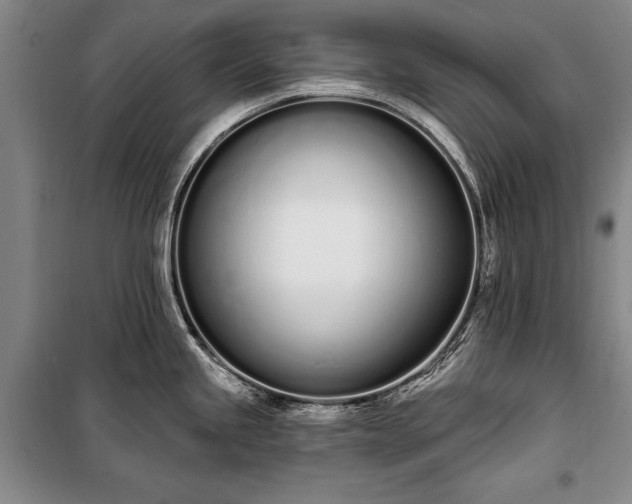 X0000100321245200806121056