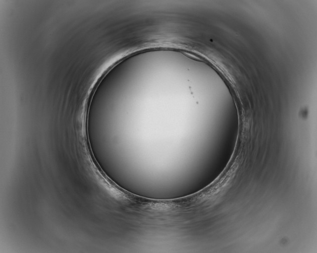 X0000100321246200806121056