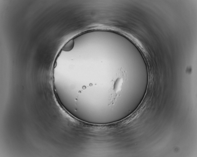 X0000100321247200806121056