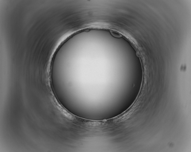 X0000100321248200806121056