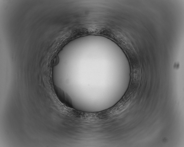 X0000100321249200806121056