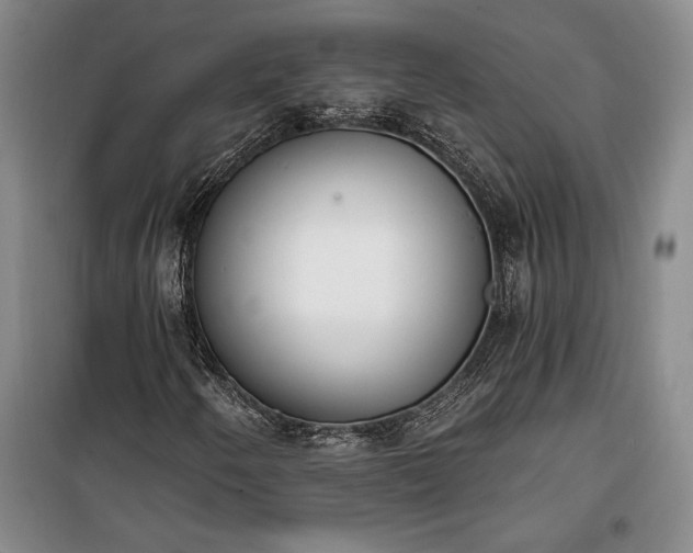 X0000100321250200806121056