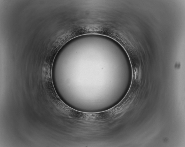 X0000100321251200806121056