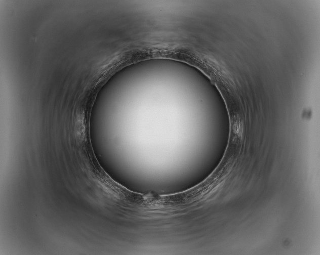 X0000100321252200806121056