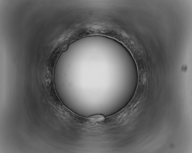 X0000100321253200806121056