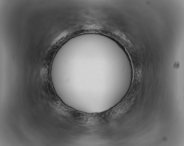 X0000100321254200806121056