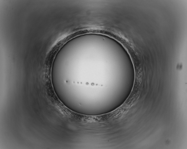 X0000100321255200806121056