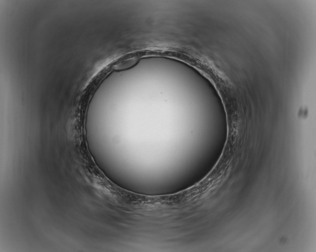 X0000100321256200806121056