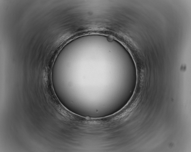 X0000100321257200806121055