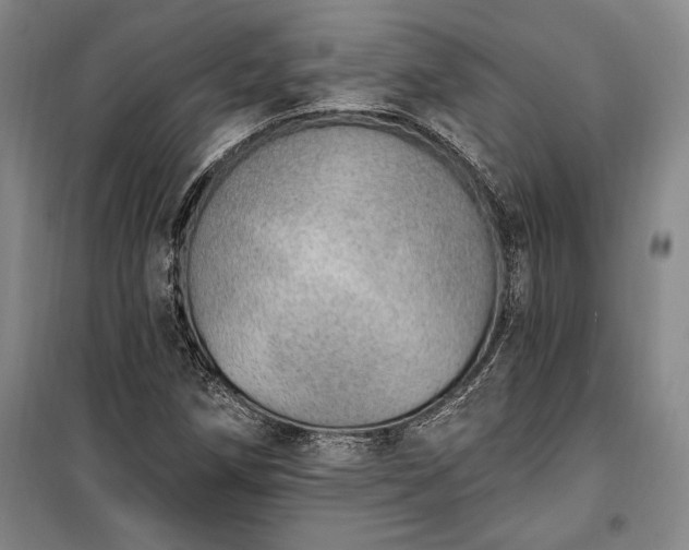 X0000100321258200806121055