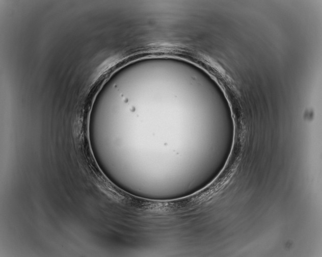 X0000100321259200806121055