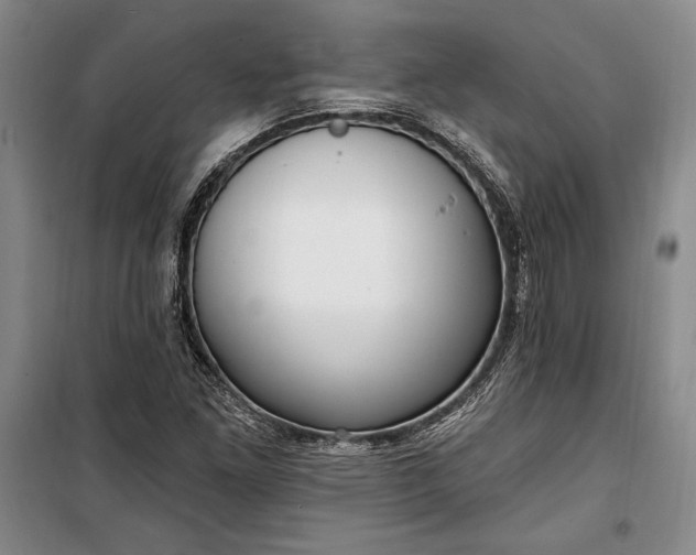 X0000100321261200806121055