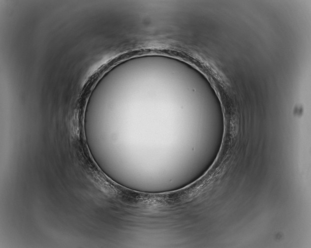 X0000100321262200806121055