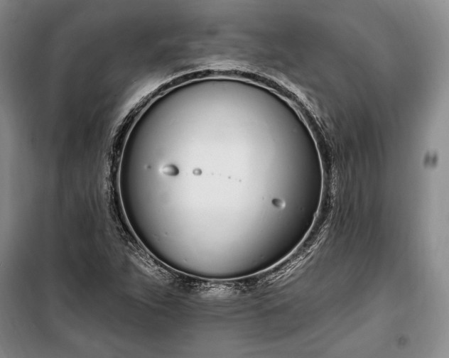 X0000100321263200806121055